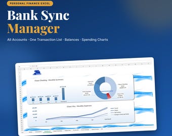 Spårning av bankkontotransaktioner i Excel | Budgetöversikt för flera konton | Nettoförmögenhet, utgifter per kategori | Digital nedladdning