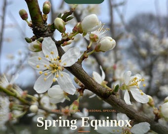 Spring Equinox Outdoor Learning Session Plan, Home Education Forest School Nature Activity, SEND Friendly Printable UK