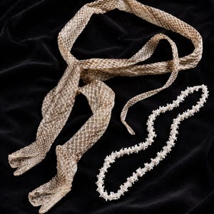 May include: A shed snake skin with a tan and brown diamond pattern alongside a white, articulated snake skeleton spine. The skin is elongated and flexible, while the bony spinal column features a series of connected vertebrae in a curved shape.