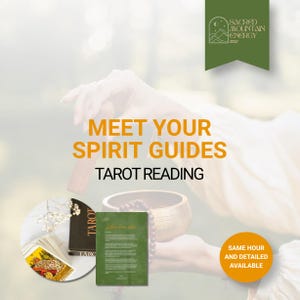 Lezing met je spirituele gids, boodschappen van je beschermengel, intuïtieve begeleiding (levering binnen hetzelfde uur)