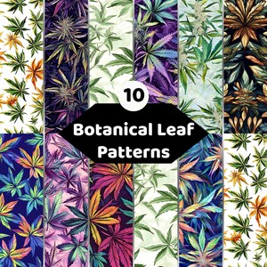 Könnte beinhalten: Eine Sammlung von 10 botanischen Blattmustern mit verschiedenen Farbpaletten, darunter Grün, Lila, Orange und Blau. Das Bild zeigt ein Raster aus verschiedenen cannabisartigen Blattdesigns mit dem Text 10 Botanical Leaf Patterns.