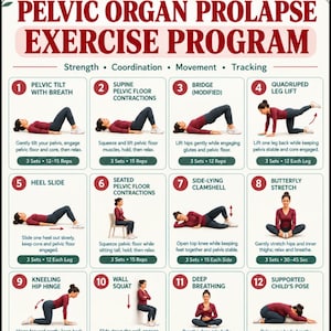 May include: An informational chart titled Pelvic Organ Prolapse Exercise Program by Salus Labs. It features twelve numbered illustrations of exercises including pelvic tilts, bridges, and squats, each with brief instructions and repetition counts.