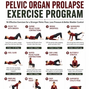 May include: A white informational chart titled Pelvic Organ Prolapse Exercise Program by Salus Labs. It features twelve numbered illustrations of a person in a maroon long-sleeve shirt and dark leggings performing various physical therapy exercises.