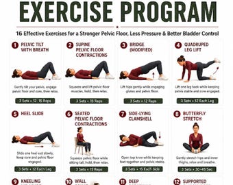 Pelvic Organ Prolapse Exercise Program Printable, Pelvic Floor Exercises, 30 Day Home Workout, Prolapse Support PDF