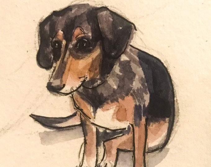 Ink & Watercolor Pet Portrait