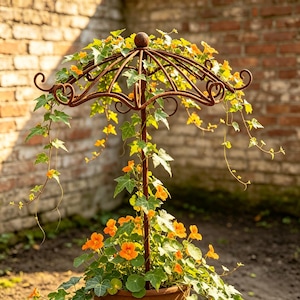 Enrejado de hierro forjado oxidado con forma de paraguas, soporte para plantas trepadoras.