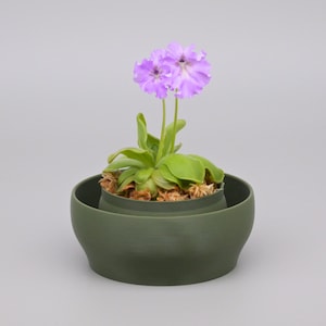 Mini Bog Pot for Carnivorous Plants | Butterwort, Sundews, Venus Flytraps (PETG) | Pot Only