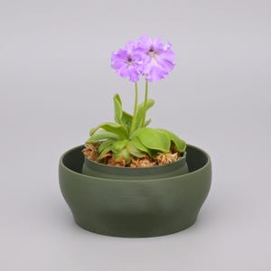 May include: A small, light green succulent plant with two vibrant purple flowers blooming from thin stems. The plant is potted in a dark olive green, bowl-shaped container that features a nested design with a smaller inner pot holding the plant.