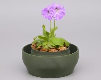 Pinguicula Pot with Water Tray | Butterwort Planter | Mini Bog Pot for Sundews & Carnivorous Plants