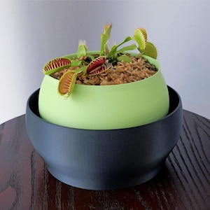 May include: A Venus flytrap plant with green and red hinged leaves growing in a light green bowl-shaped planter. The planter is nested inside a larger, dark charcoal gray bowl-shaped container, both featuring a smooth, matte finish.