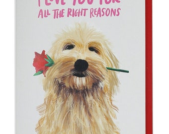 Puppy Love greeting card