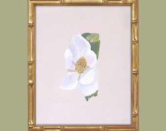 Mississippi Magnolia State Flower art print