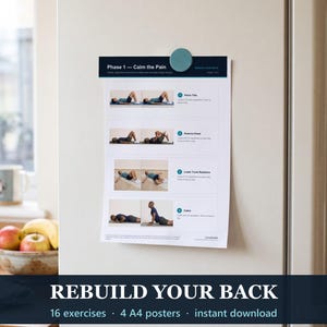 May include: A white paper poster titled Phase 1 - Calm the Pain, featuring four exercise routines with photographic instructions for pelvic tilts, knee-to-chest, lower trunk rotations, and cobra stretches, held by a round teal magnet.
