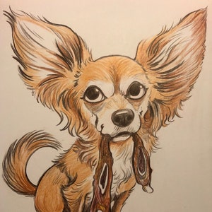 custom color caricature