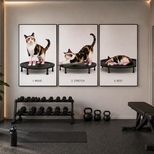 Könnte beinhalten: Drei gerahmte Wandbilder mit einer Glückskatze, die ein rosa Stirnband und Armbänder auf einem Minitrampolin trägt. Die Bilder sind mit 1. MOVE, 2. STRETCH und 3. REST beschriftet und zeigen die Katze stehend, streckend und liegend.