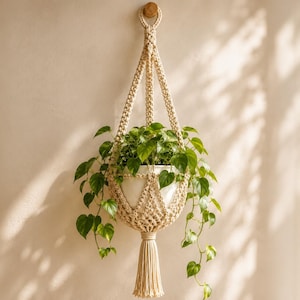 May include: A cream-colored macrame plant hanger featuring intricate knotted patterns, a circular top loop for hanging, and a long decorative tassel at the bottom. It holds a white pot containing a lush green pothos plant with trailing vines.