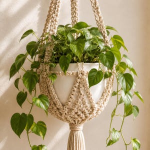 Crochet Plant Hanger Pattern | Boho Hanging Planter with Tassel | PDF Instant Download
