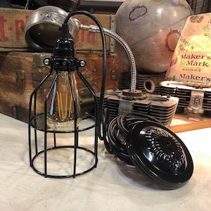 Single drop, LED Edison Light with cage and ceiling kit