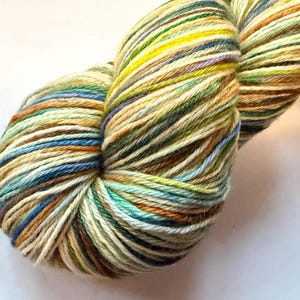 May include: A skein of variegated yarn in a range of colors including green, yellow, blue, brown, and cream. The yarn is tightly wound, showing the different colors blending together. Ideal for knitting or crocheting projects.