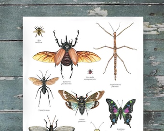 Inktober 2018 Insektensammlung, Poster 1 von 3