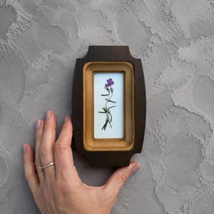 May include: A small, rectangular wooden frame with a dark brown outer edge and a lighter natural wood inner border. The center features a white background displaying a single pressed purple flower with green stems and leaves, vertically oriented.