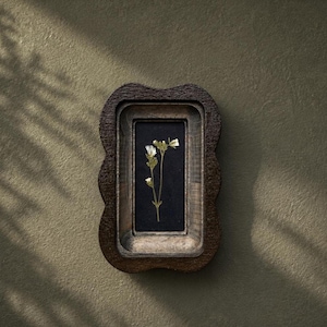 Dried wildflower in a 2x4-inch rectangular frame, miniature handmade herbarium, and dried flower arrangement