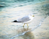 Mouette photographie, impression de l’océan, plage, côtière Home Decor, côte du New Jersey, vagues de l’océan, thème de plage, mer