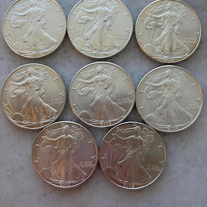 May include: Eight silver American Eagle coins arranged in three rows. Each coin features the Walking Liberty design, the text LIBERTY, the phrase IN GOD WE TRUST, and a sun rising on the horizon. The dates 2018, 2017, 2016, 2015, 2005, 2004, 2003, and 2002 are visible.