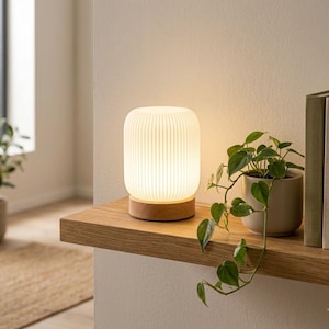 May include: A cylindrical table lamp with a white ribbed glass shade and a light wood base, emitting a warm glow. Next to the lamp is a small potted green plant with trailing leaves and a stack of books with neutral-colored spines.