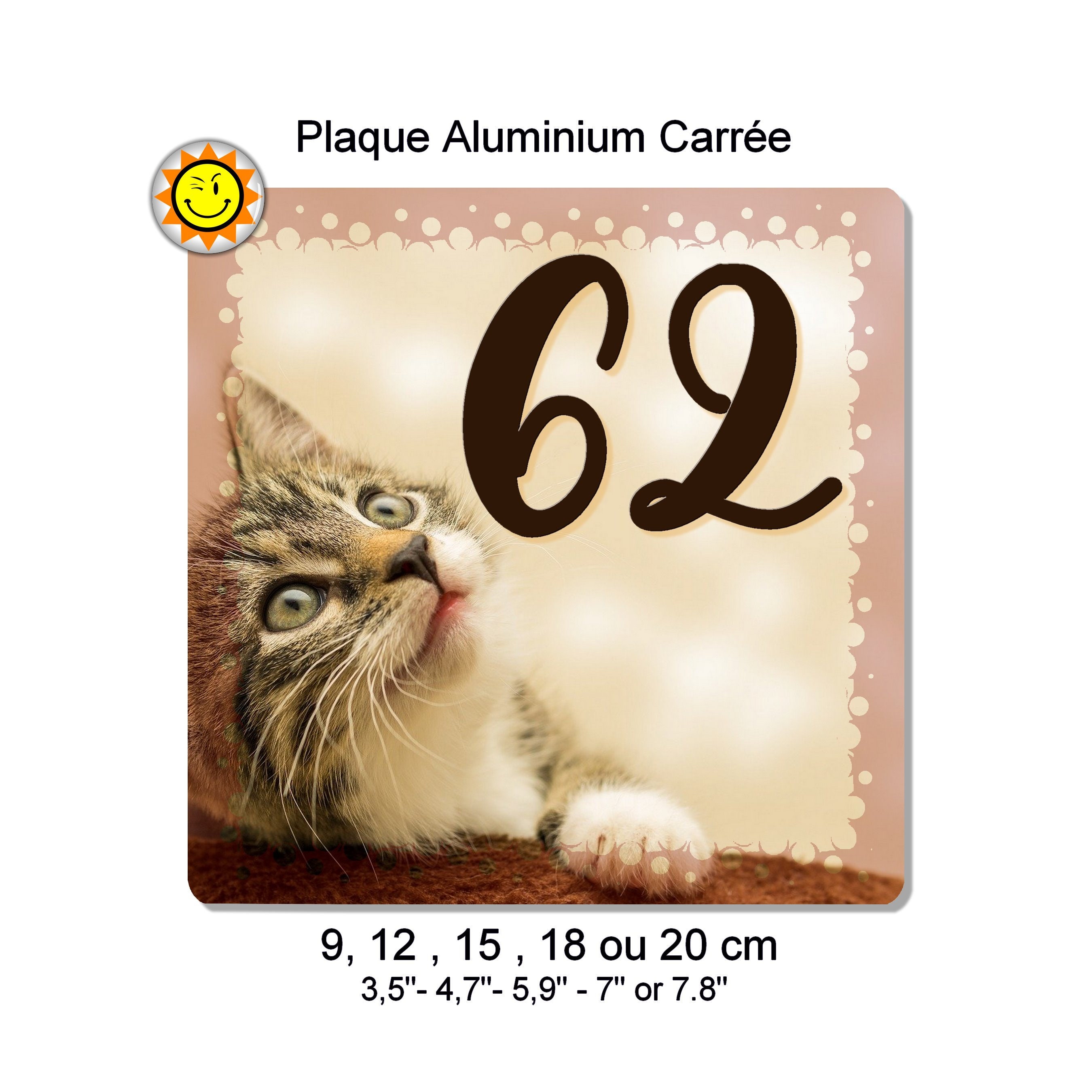 Plaque boite aux lettres à personnaliser en aluminium avec votre nom et  numéro chats - Plaques adresse/Plaques numero carrées - creosoleil