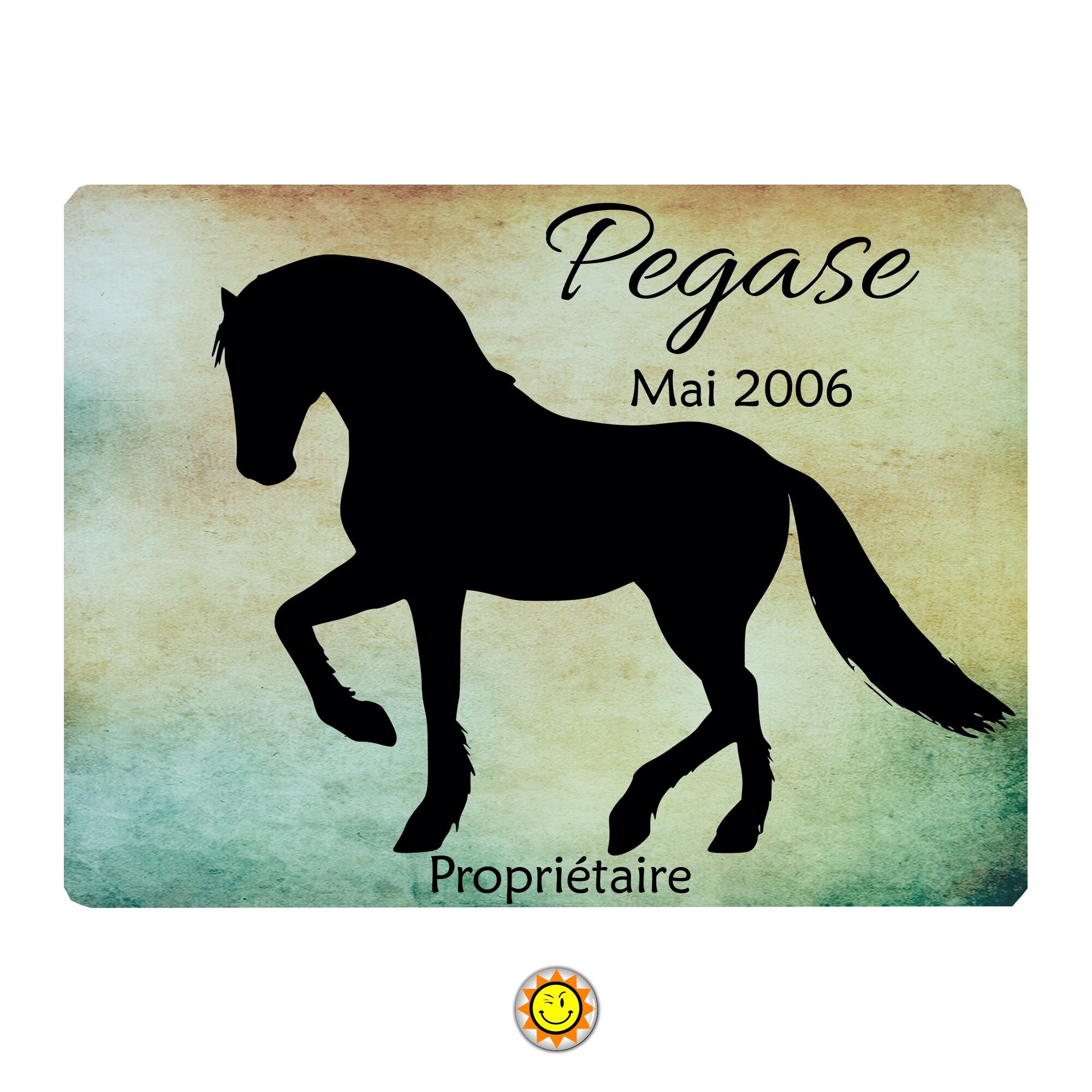 Plaque Box Cheval Nom Écurie Personnalisable 15x20 cm Aluminium