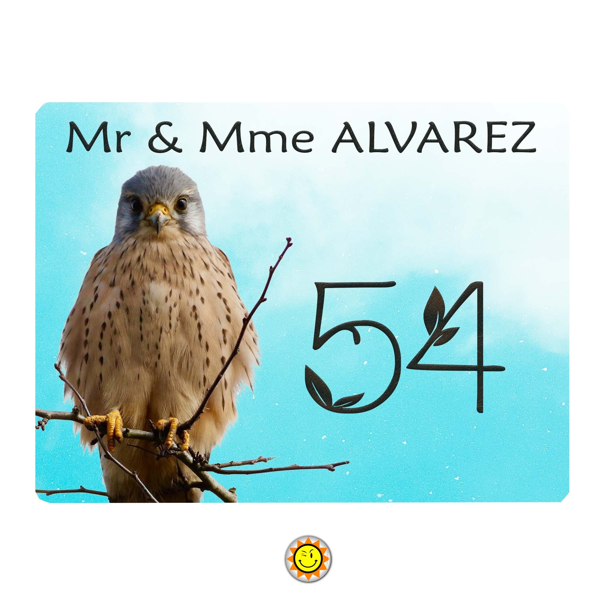 Plaque Maison Numero à Personnaliser Aluminium Oiseau Coloré Vintage