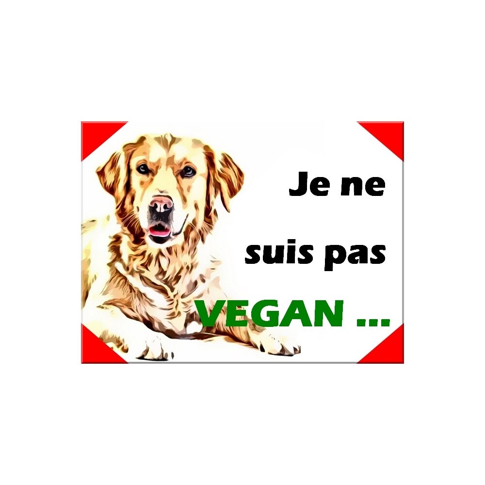 Plaque Aluminium Attention Chien Golden Retriever Humour Vegan 15x20cm