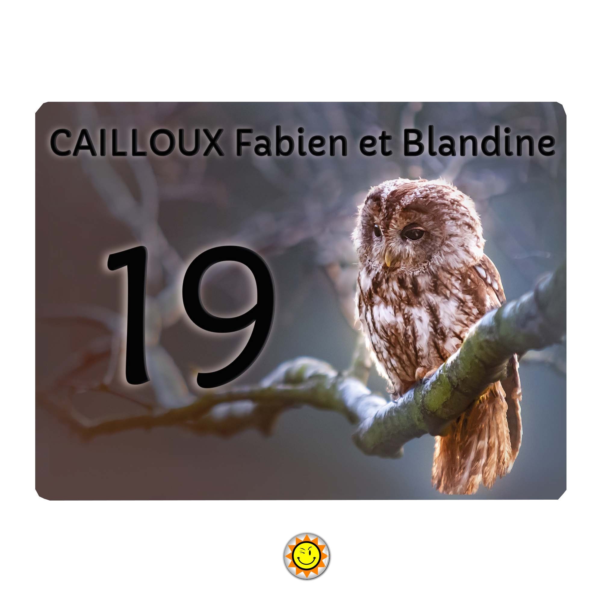 Plaque Maison Numero à Personnaliser Aluminium Porte Chouette Hibou Vintage