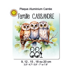 Personalized aluminum mailbox plate with your name and family number 3 owls C426