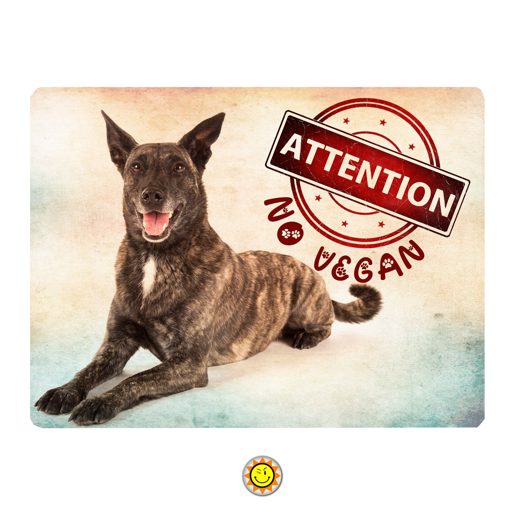 Plaque Aluminium Attention Chien Berger Hollandais Humour Vegan