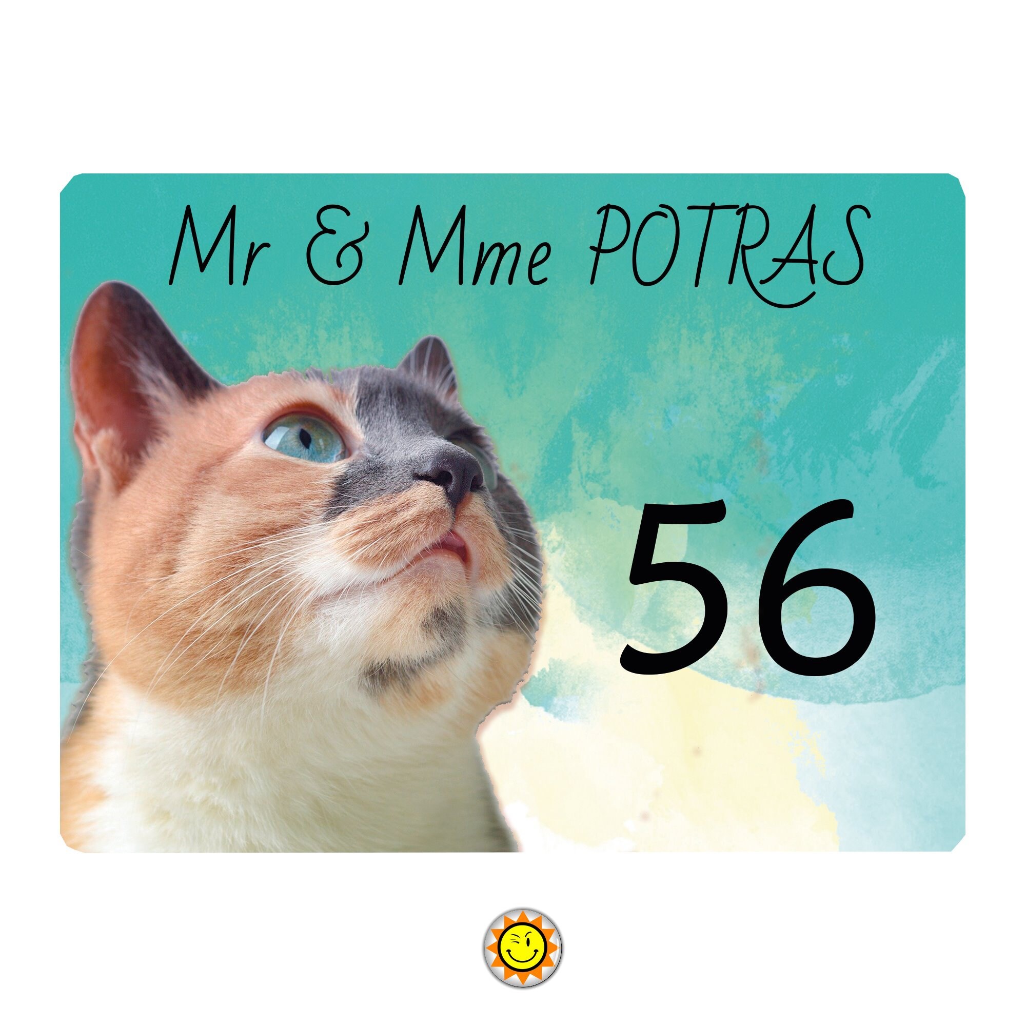 Plaque Maison Numero à Personnaliser Aluminium Porte Chat Vintage French