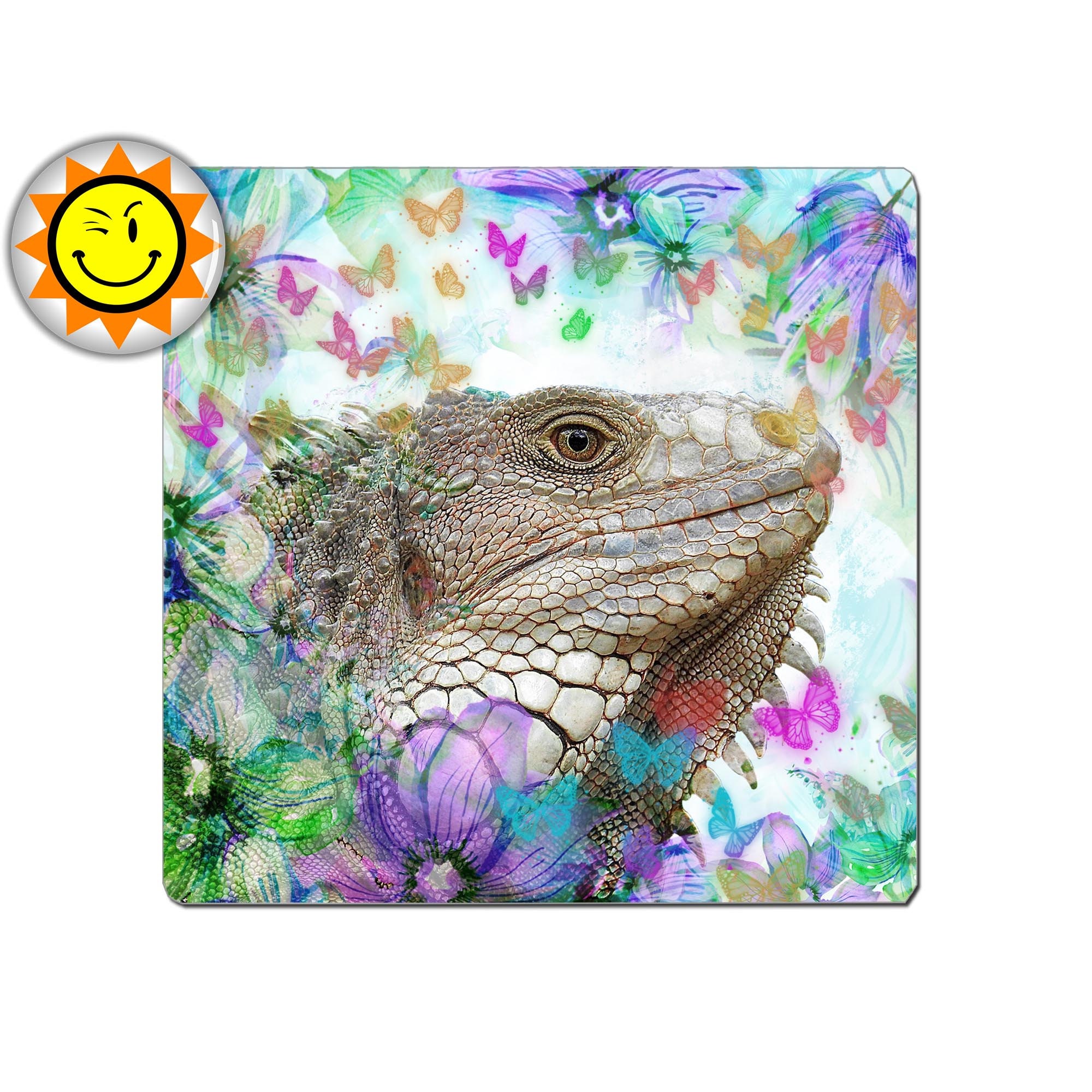 Plaque Decorative Metal Vintage Shabby Animal Gecko Lezard Cameleon Idee Cadeau Aluminium ...dimensi