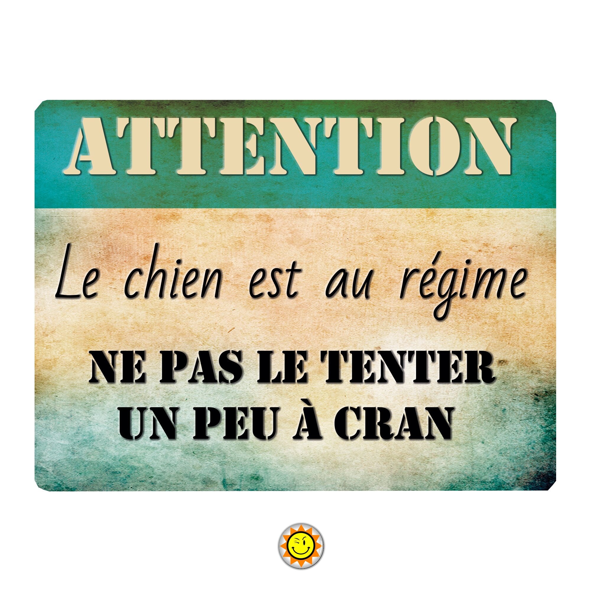 Plaque Aluminium Attention Chien Humour Vintage