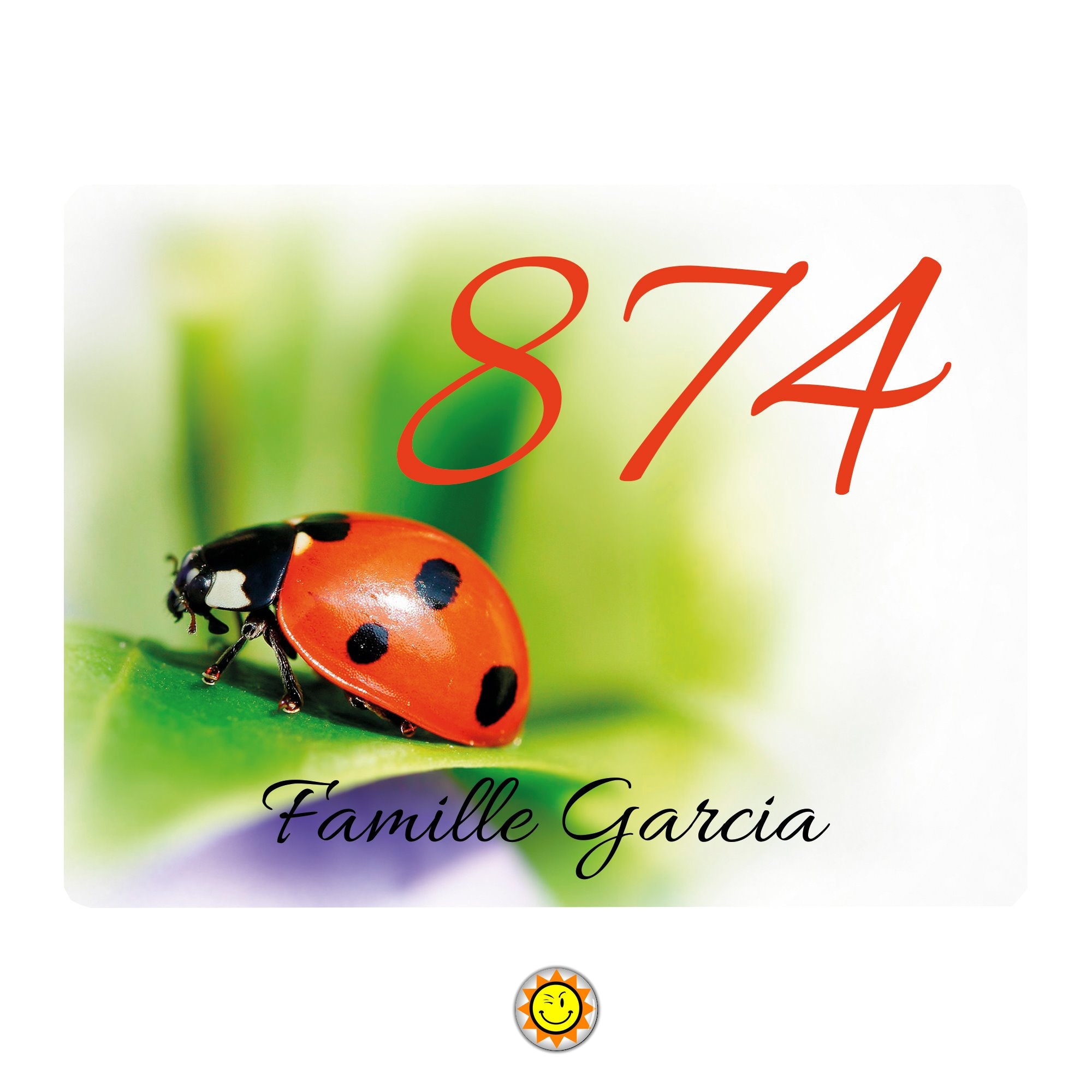 Plaque Maison Numero à Personnaliser Aluminium Coccinelle Ladybug Vintage