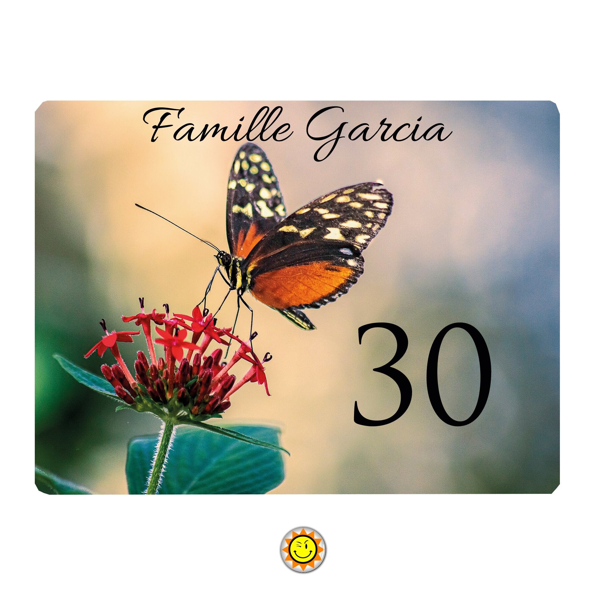 Plaque Maison Numero à Personnaliser Aluminium Papillons Fleurs Vintage