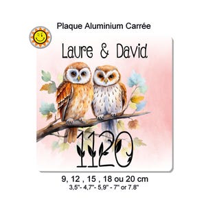 Personalized aluminum mailbox plate with your name and number, couple of 2 owls C425
