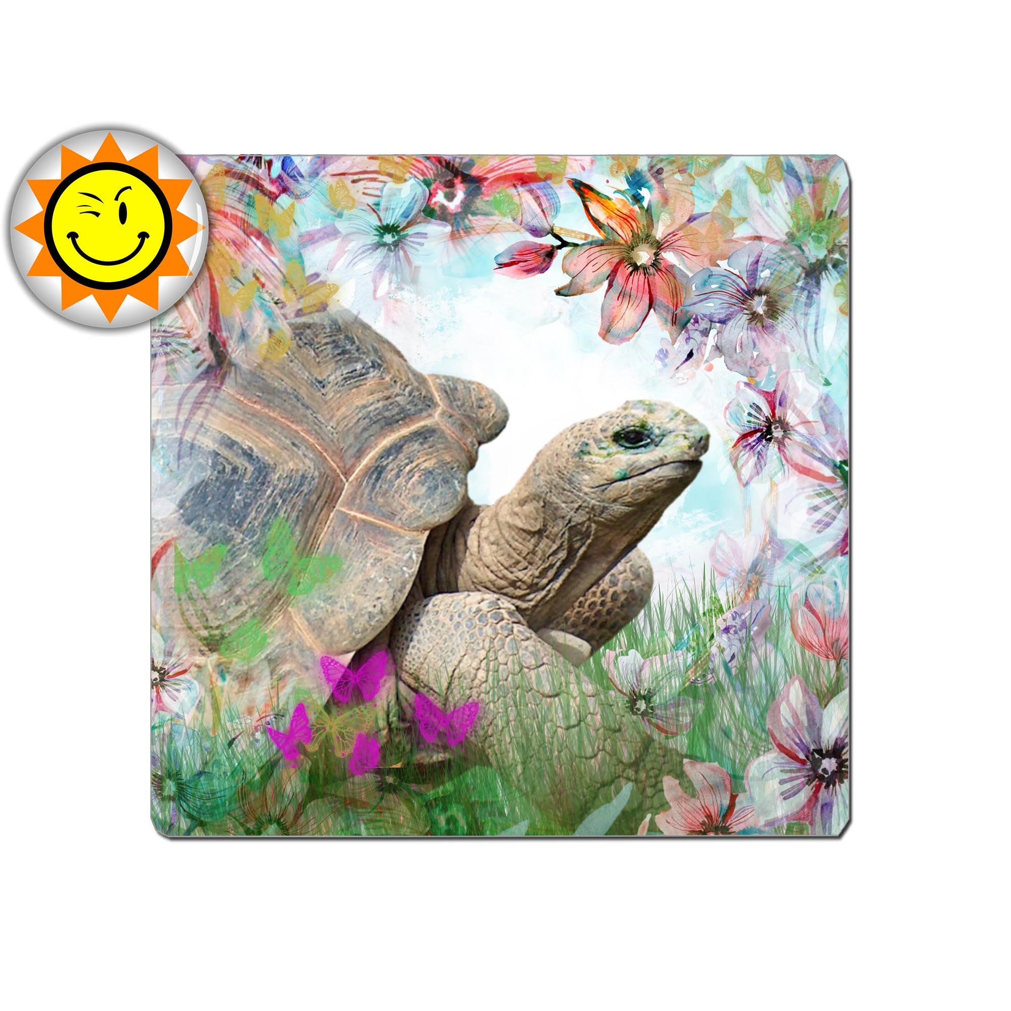 Plaque Decorative Metal Vintage Shabby Animal Tortue Idee Cadeau Aluminium ...dimensions Au Choix