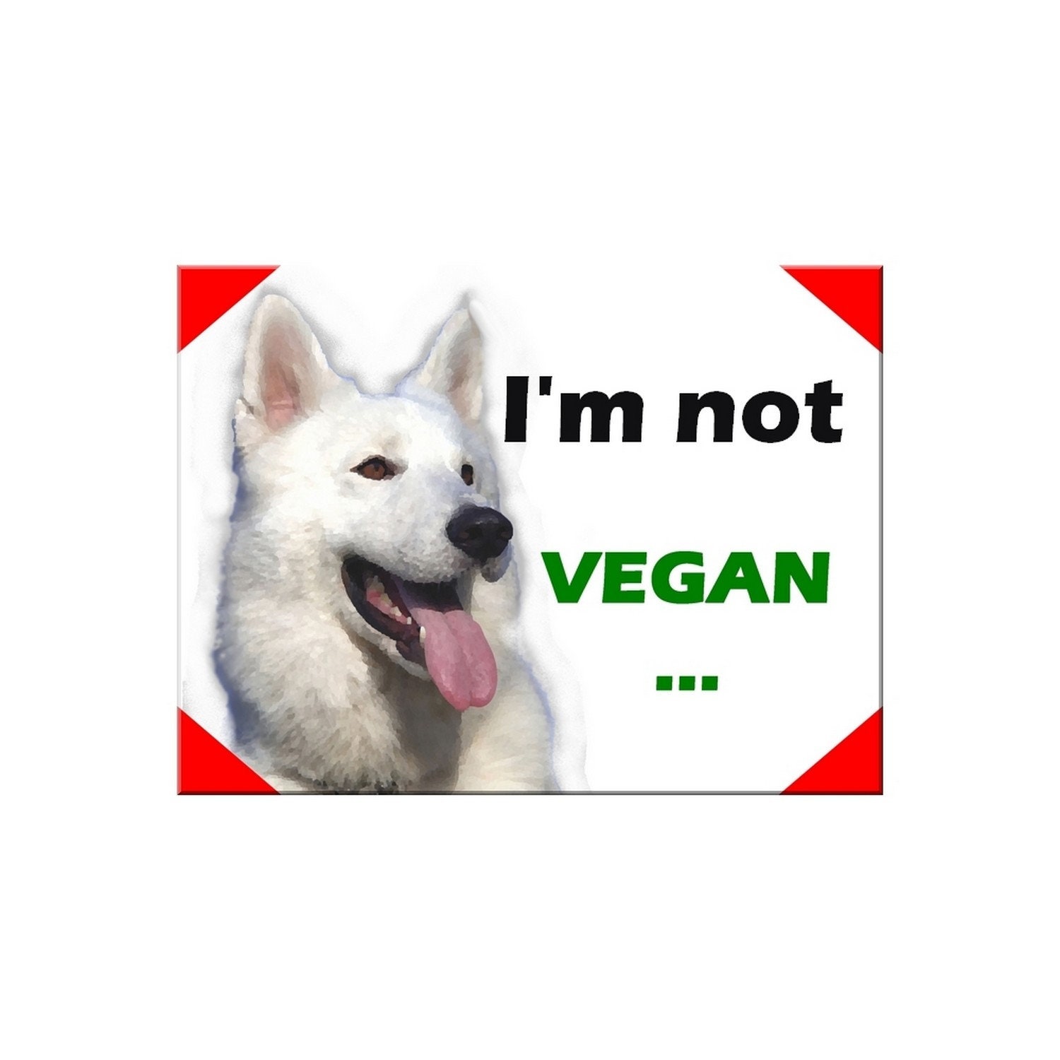 Plaque Aluminium Attention Chien Berger Suisse Humour Vegan 15x20cm