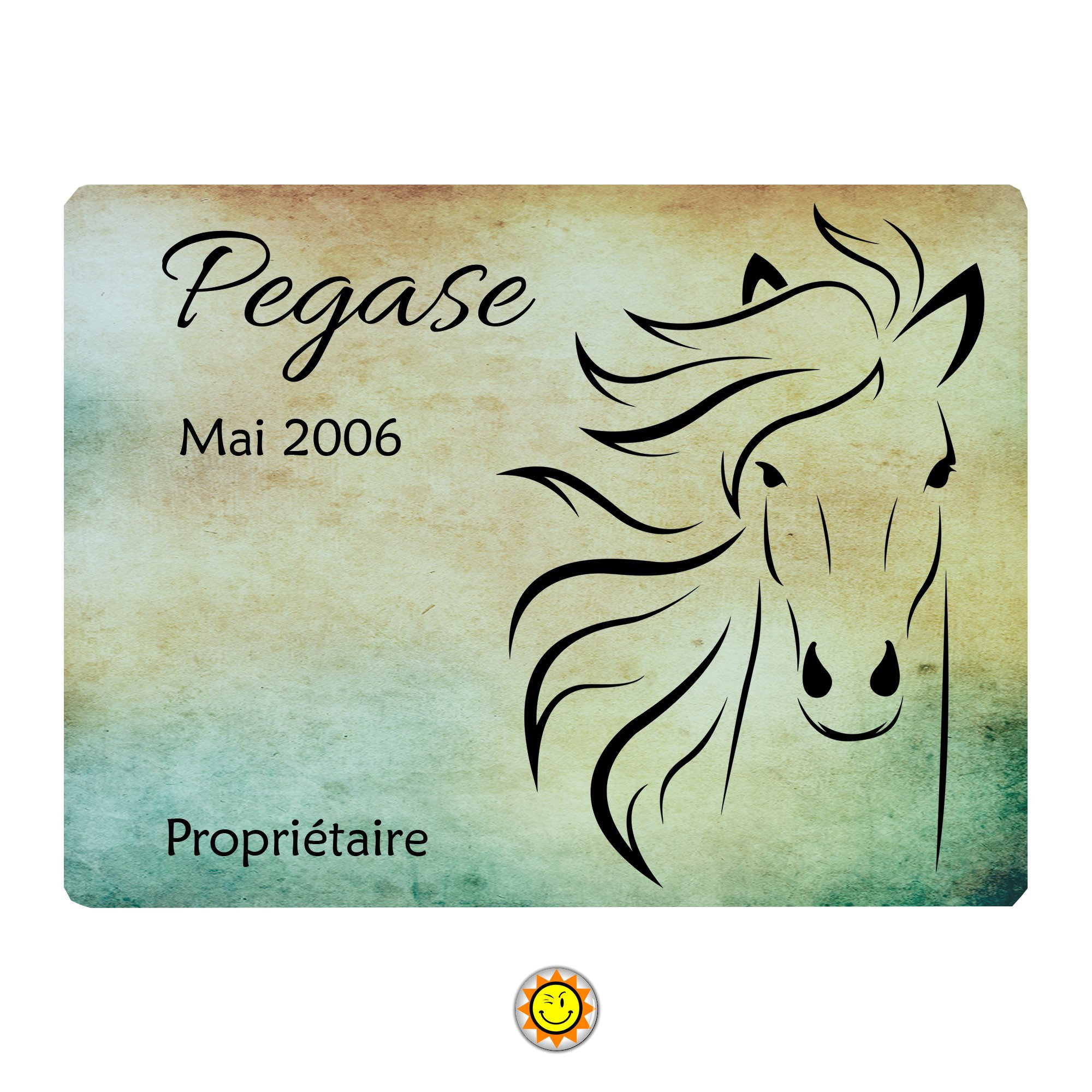 Plaque Box Cheval Nom Écurie Personnalisable 15x20 cm Aluminium