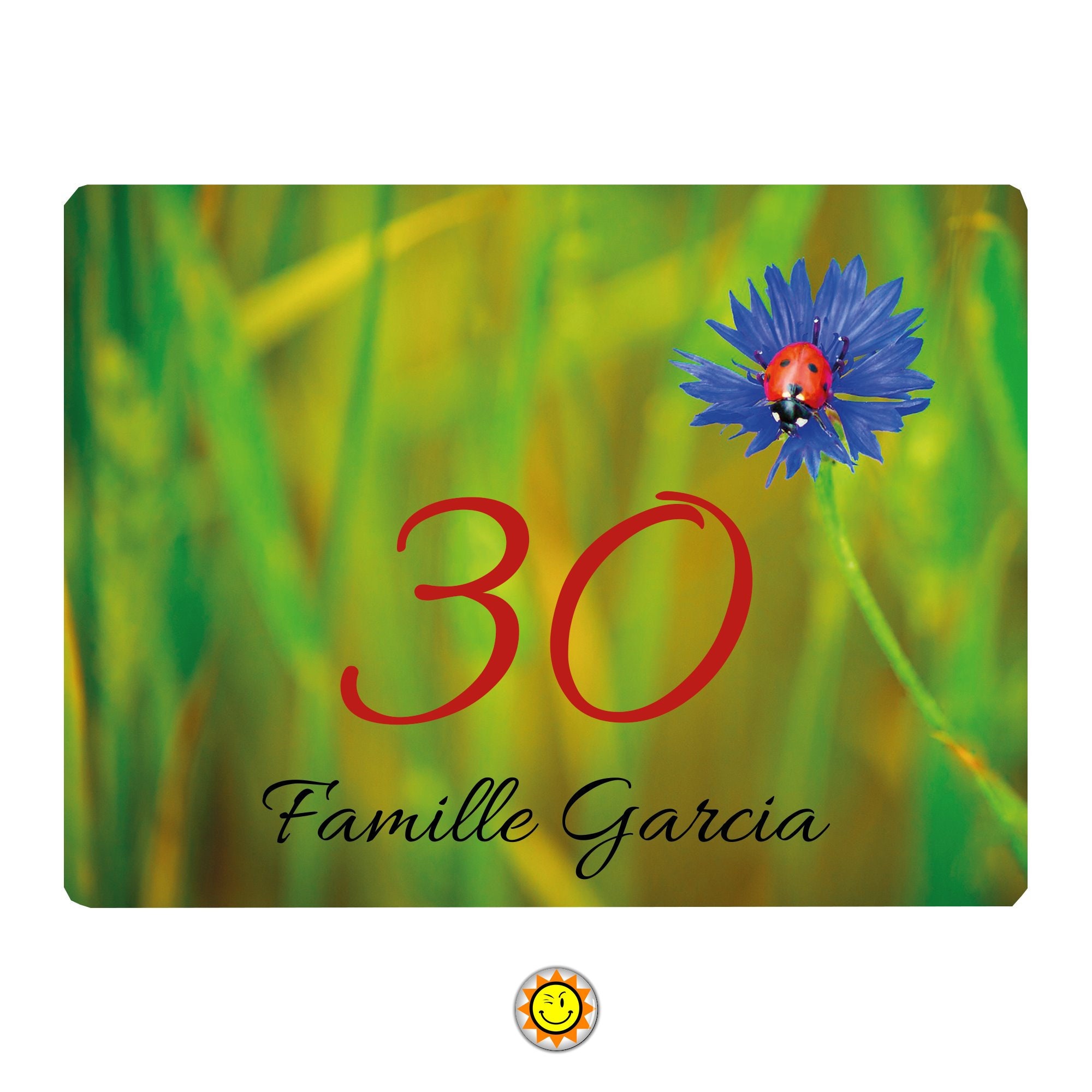 Plaque Maison Numero à Personnaliser Aluminium Coccinelle Ladybug Vintage