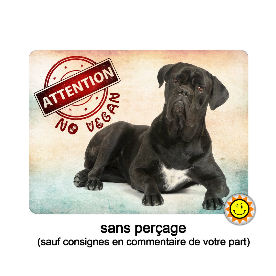 Plaque Humour 'Attention Cane Corso' En Aluminium - Déco Maison Bleue - 15x20 Cm - Personnalisable