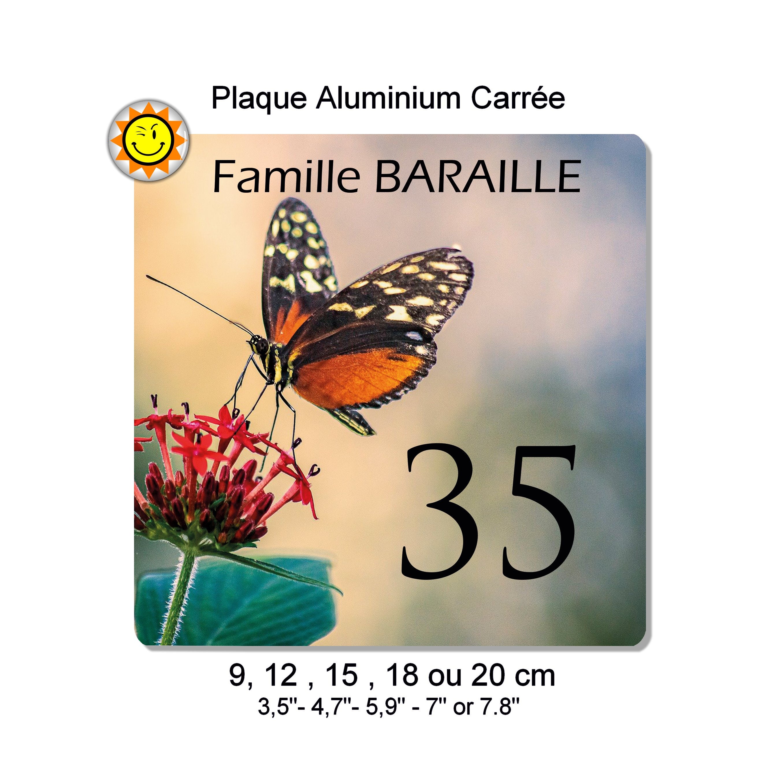 Plaque Boite Aux Lettres à Personnaliser en Aluminium avec Votre Nom et Numéro