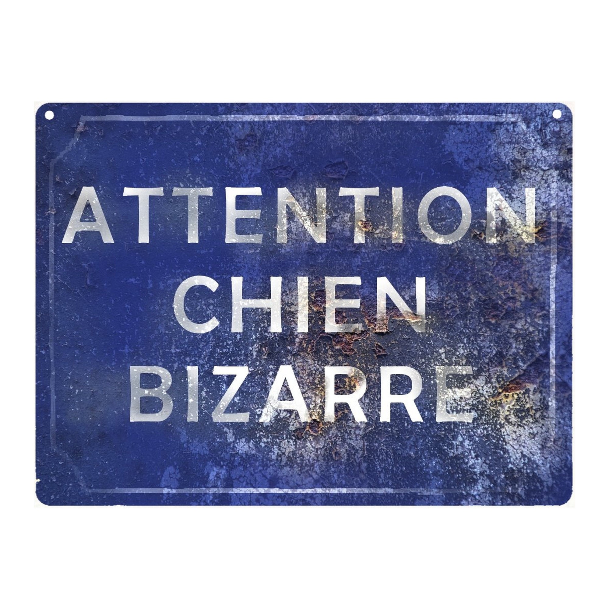 Plaque Attention Chien Bizarre 15x20 cm Aluminium