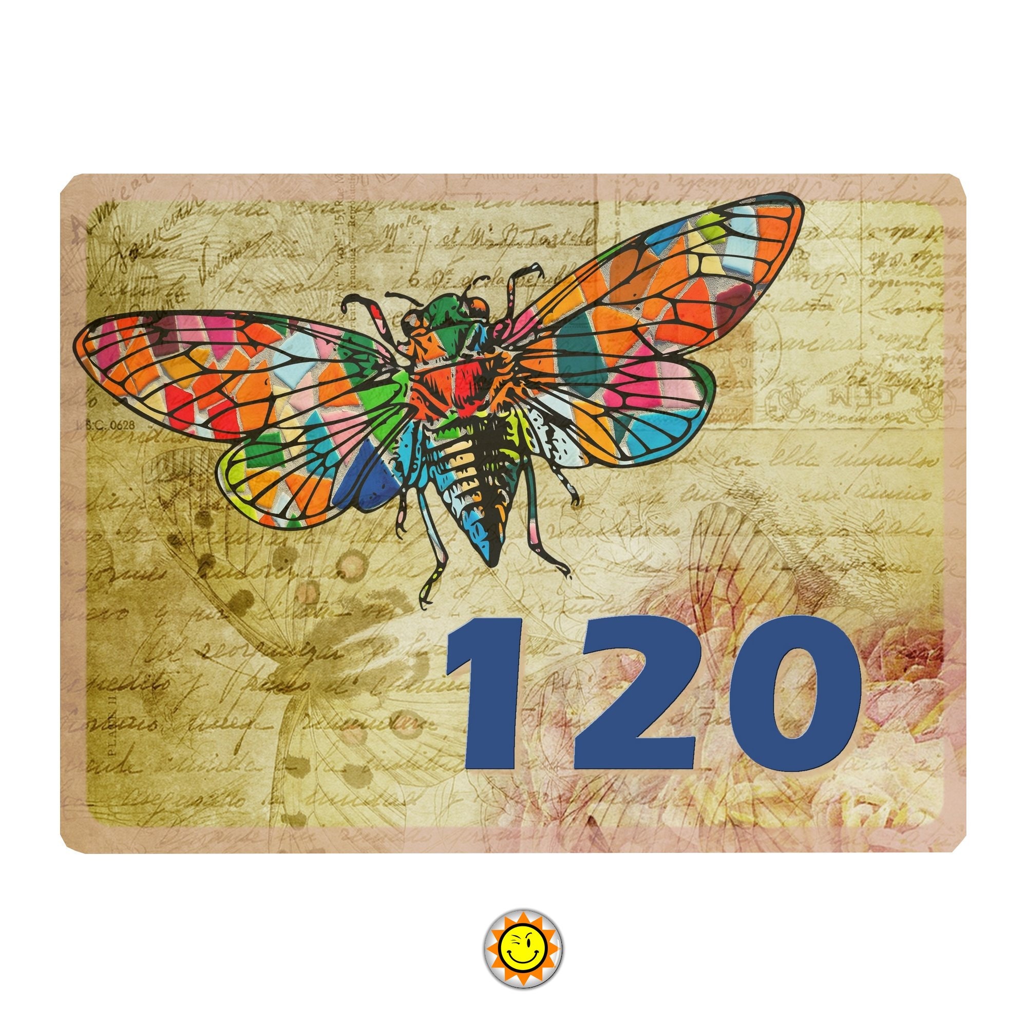 Plaque Maison Numero à Personnaliser Aluminium Porte Provence Cigale